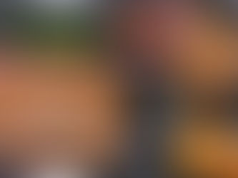 4月28日 本日のひまわりランチ