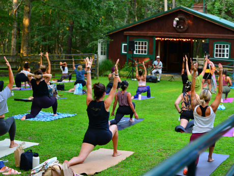 Intro to Yoga Workshop