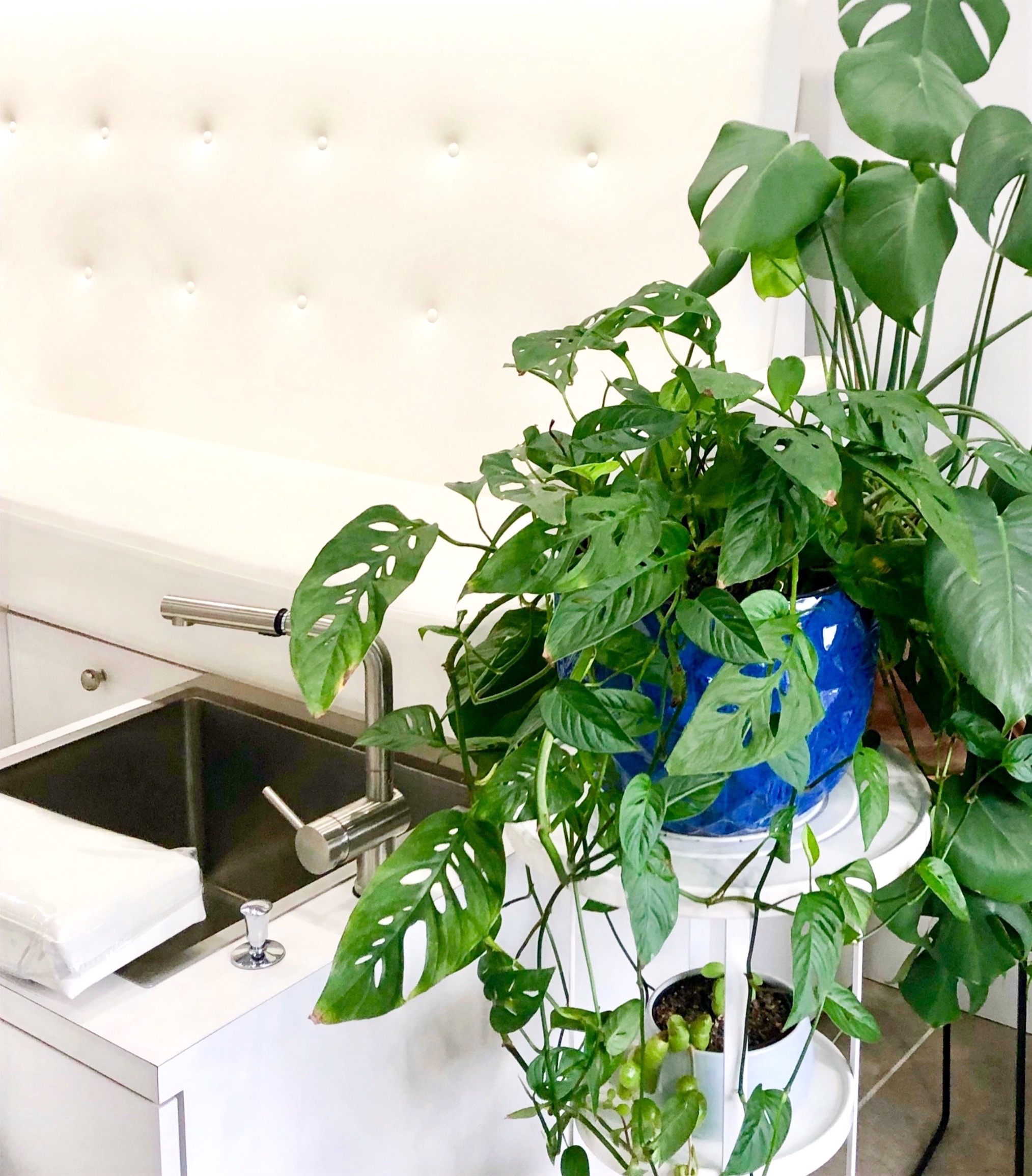 Nail Salon Bryn Mawr Top Coat Nail Studio Natural Nails