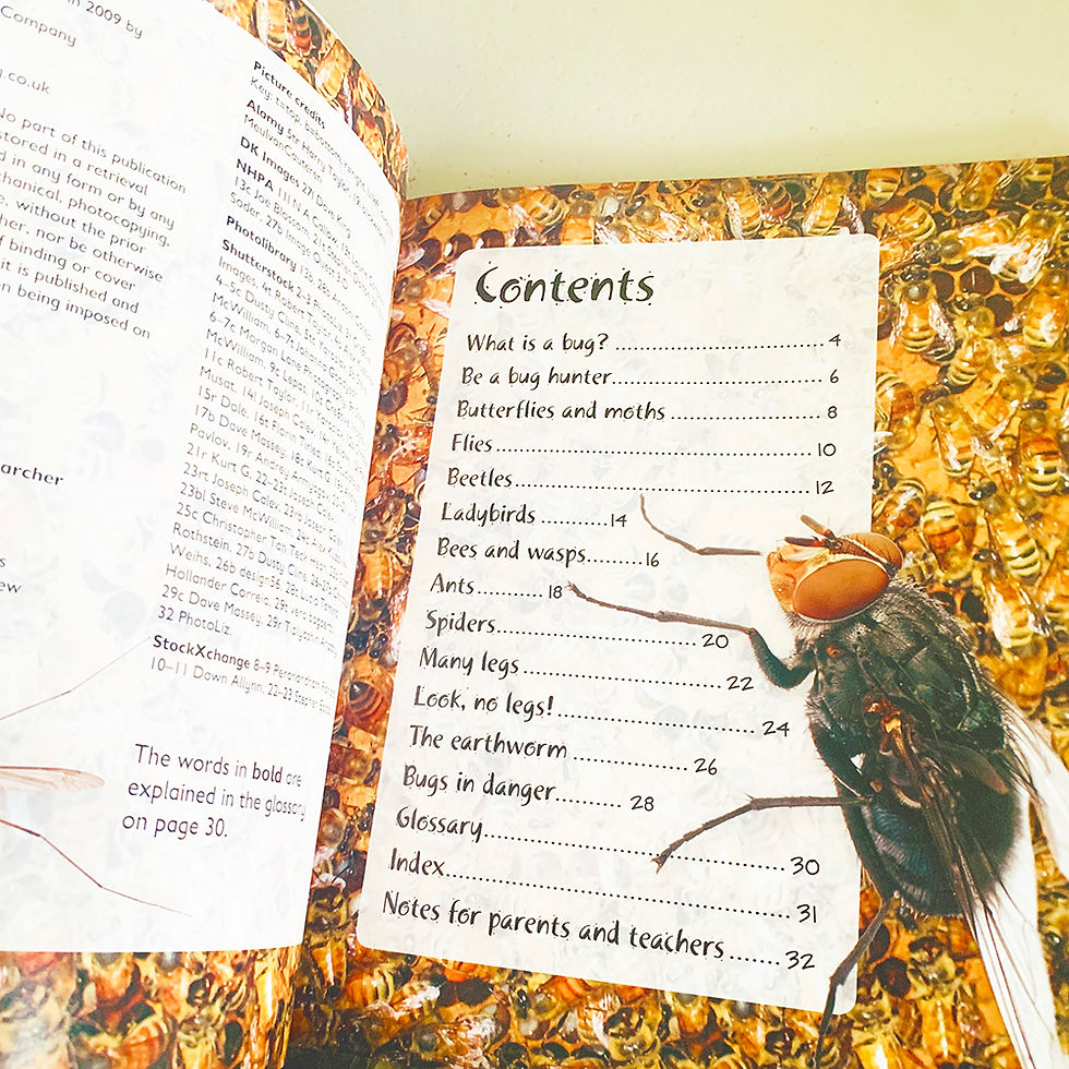 Thumbnail: Wildlife Watchers: Small Mammals & Bugs | by Terry Jennings