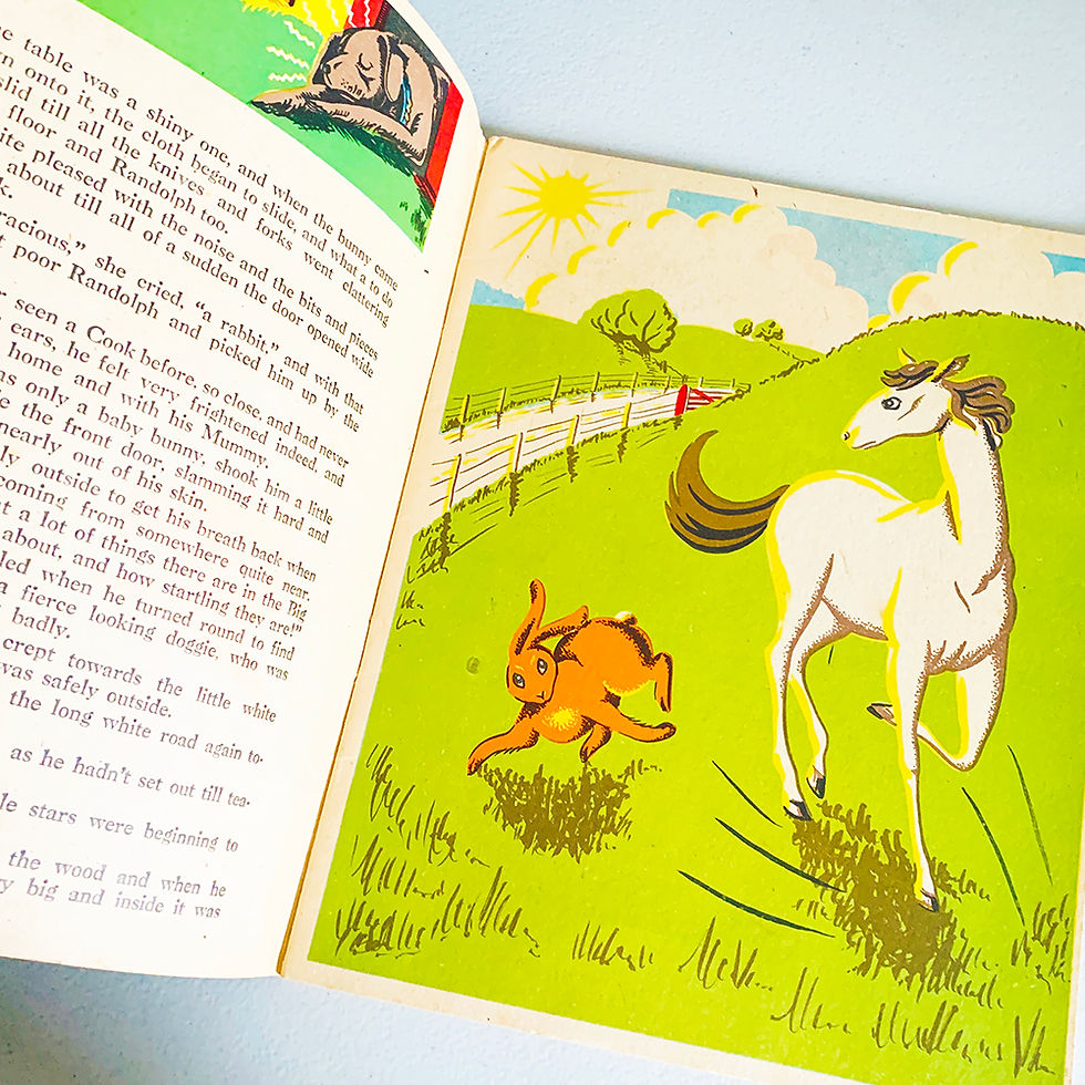 Thumbnail: Randolph The Rabbit That Ran Away | by Joan Smith