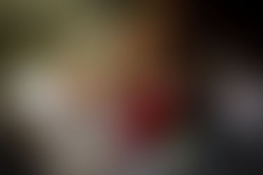 Ken je dit straf verhaal nog? ‘Dokter Peyo’, het paard dat zieke mensen bezoekt 