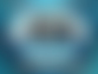 Deze week geven we onze 5 ★★★★★ allemaal aan The Best Immigrant.