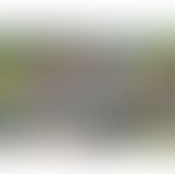 Deze Belgische “Big Five” deden recent hun comeback in ons land.