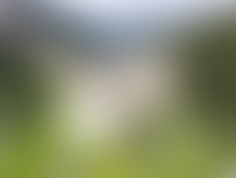 Dorp Blatten compleet verwoest