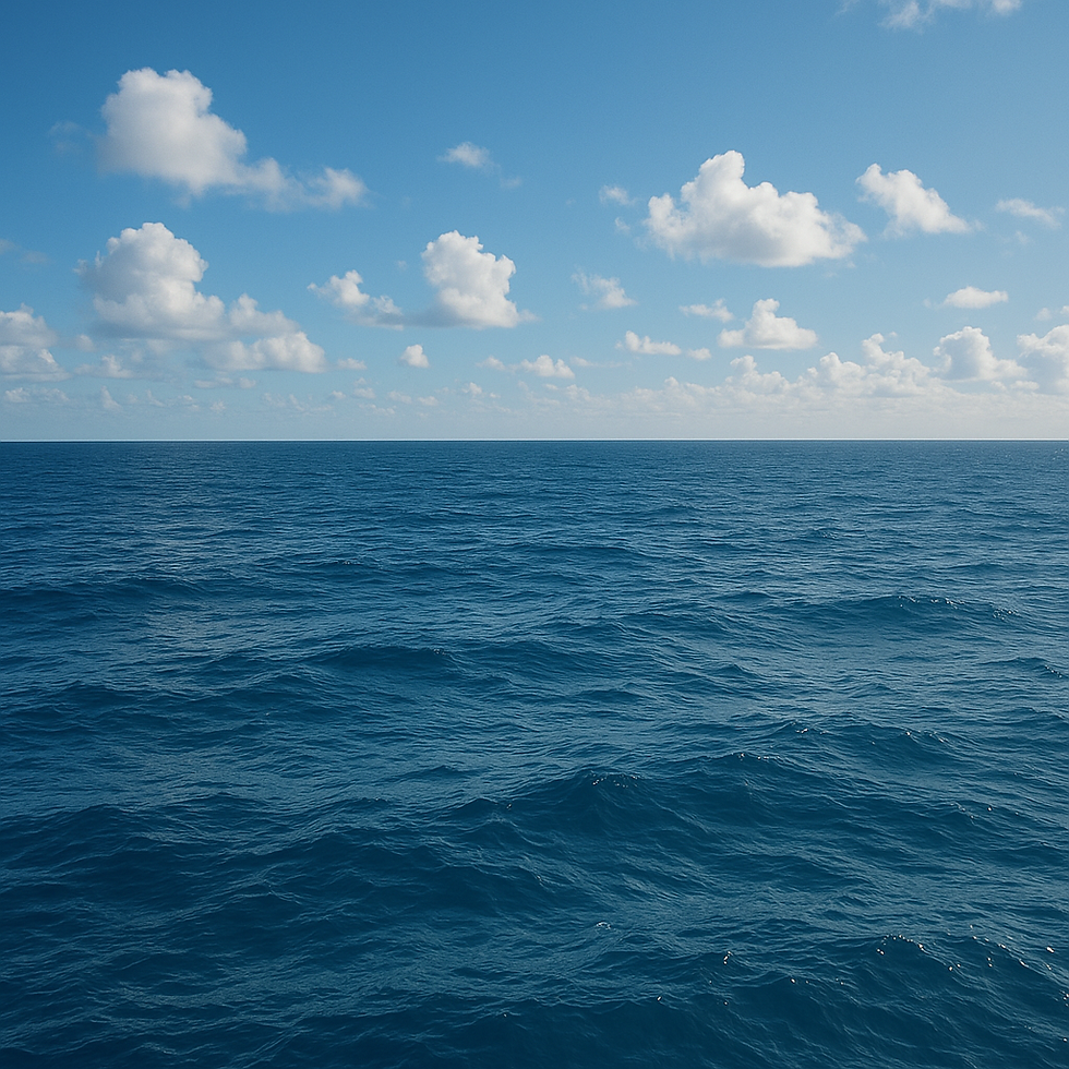 Oceaanleegte? Nee, we gaan Nemo níét moeten zoeken in 2048