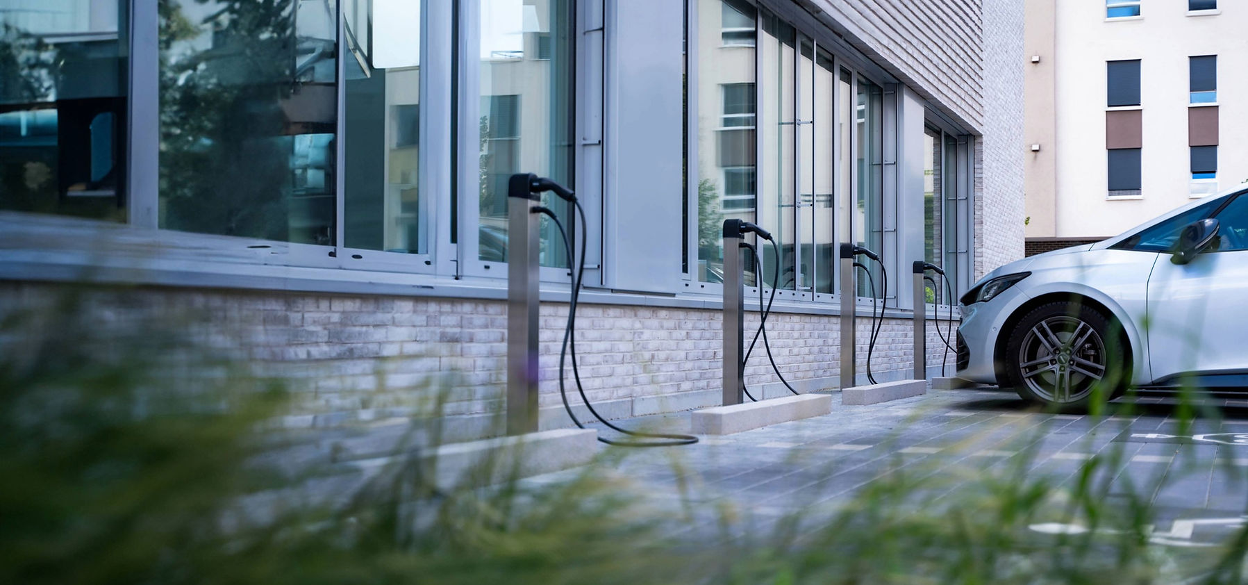 Website Header-54 (12).jpeg