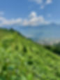 image00009.jpeg