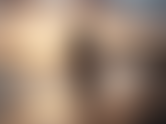 Guia do Evangelho: para ver Cristo em toda a Bíblia