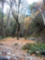 Switzer Falls Day Hike