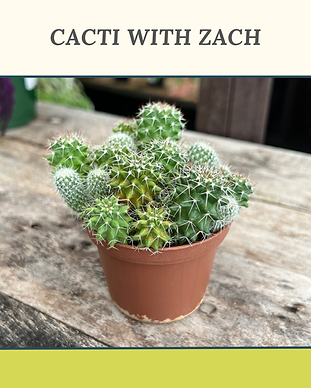 8.15_wallitsch_graphics_website_cactiwithzach_1080x1350.png