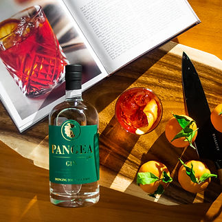 PANGEA - Founders Shoot - 4.jpg