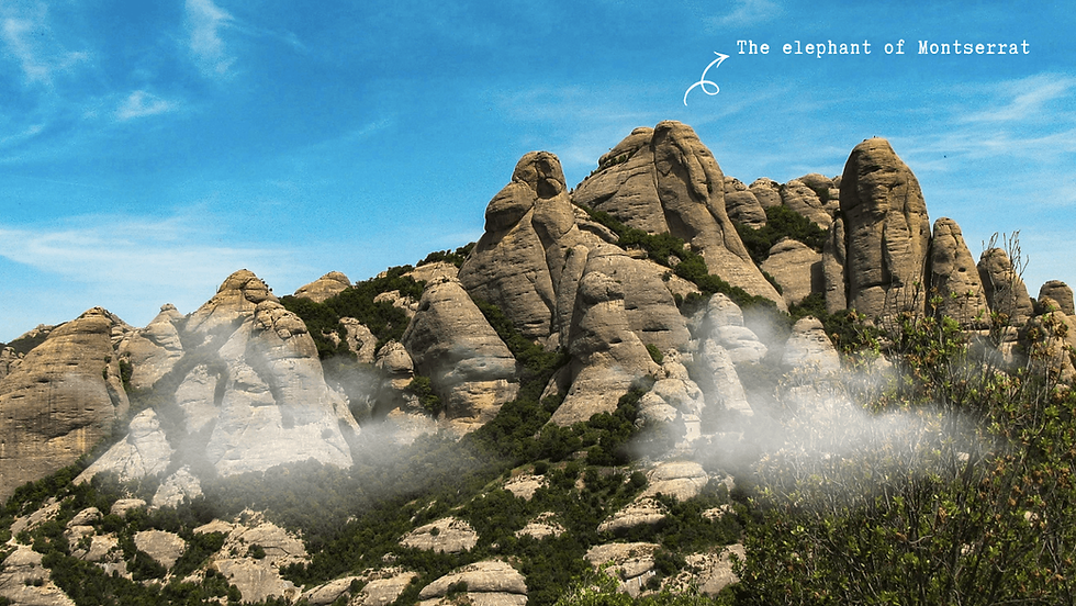 Hike up to the “Elephant of Montserrat” 1156M & Sant Jeroni 1236M – Hard