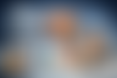 Wichtige Veröffentlichung aus Teilprojekt A08