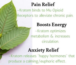 Kratom Dosage Chart