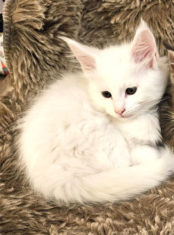 20250314_185947_edited