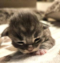 20250122_204904_edited