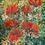 Thumbnail: African Tulips of Munnar