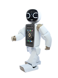 Wonderboy_L (1).png