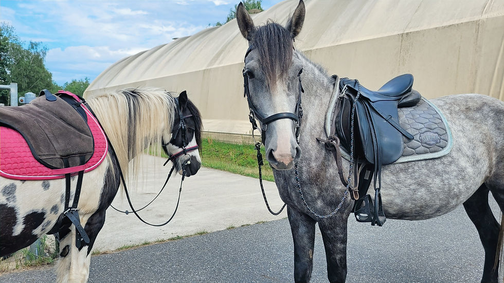 20250629_163234_edited