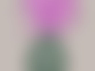 Bad News Good News Glory