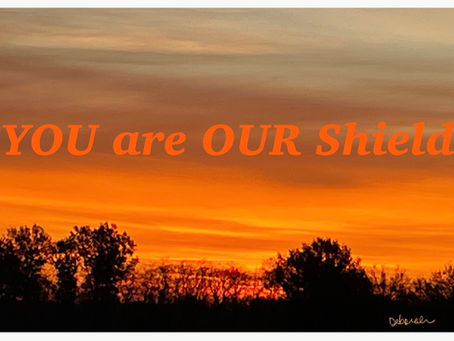 Our Shield