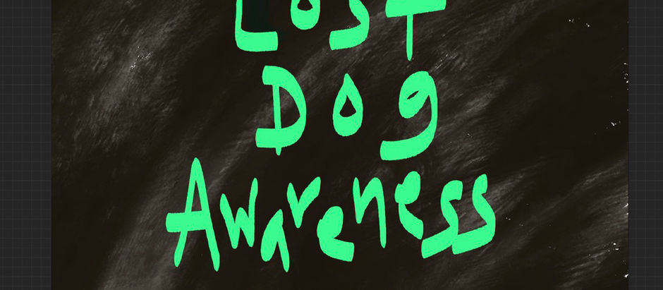 Awareness Holiday