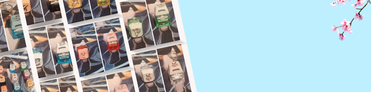 Eevee lution banner .png