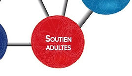 METHODE SCOUTE SCHEMA O.M.M.S. V.F. 2 Détail Soutien Adultes.jpg