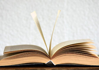 Rubrique Publications Livre ouvert 2.jpg