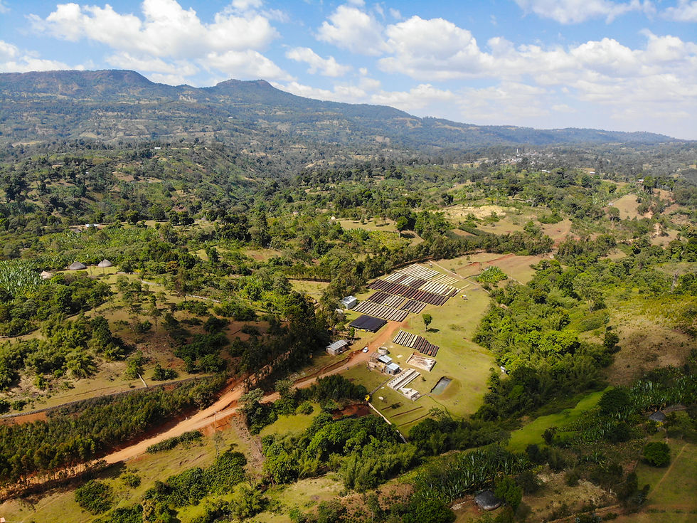 Drone Shot 1 (1).jpeg