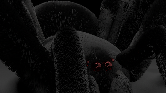 spider.png