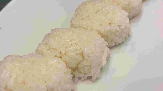 Rice Ball Sushi