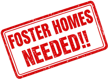 FOSTERS NEEDED NO BACKGRUND.png