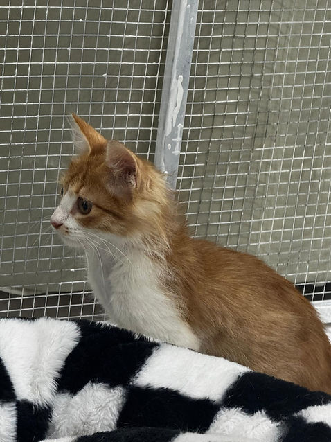 PHOTO-2026-02-21-23-13-59 (1) (1).jpg