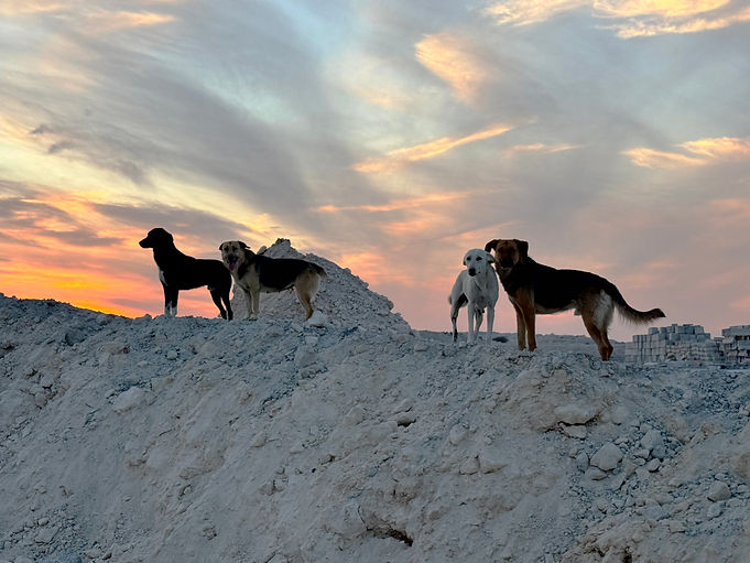 IMG_4552 updated.jpg