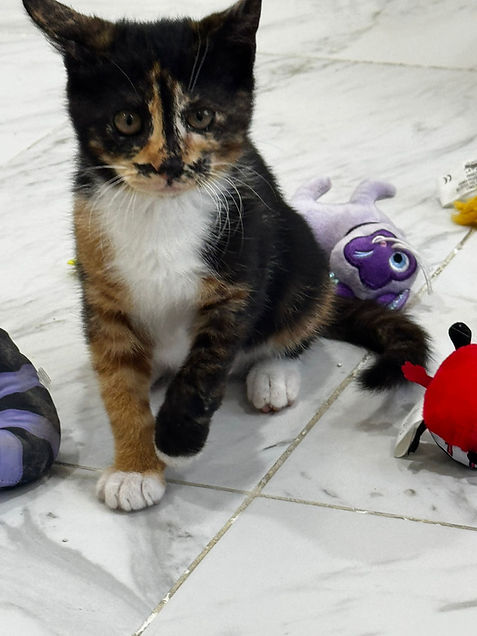 PHOTO-2026-02-04-21-18-35 (1).jpg