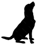 Animal Rescue Qatar - Logo