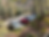 CAD46CC6-03F9-4580-9096-69D07877E0E3