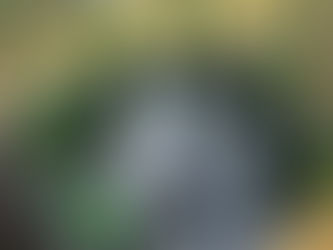 爲何精釀啤酒能在餐酒館酒單成爲重要選單?