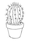 CactusLine.jpg