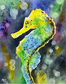 SeahorsePic.jpg
