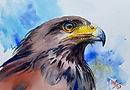 IMG_3458.jpeg