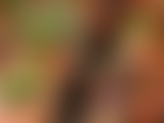 Smokey BBQ σολομός με φρέσκα σάλτσα λαχανικών