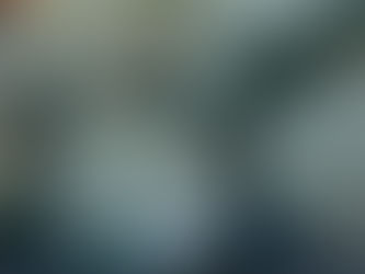 OUR PRODUCTS, PRACTICES AND PARTNERS