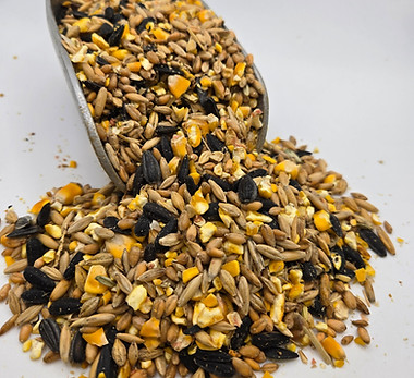 5 grain.jpg