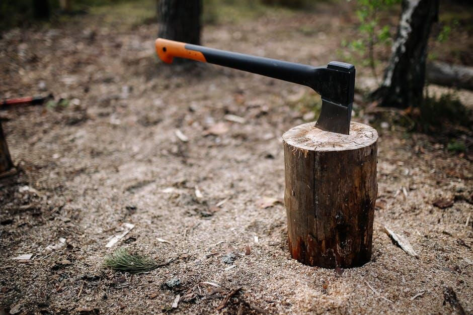 Understanding Tree Removal: When and Why It's Necessary