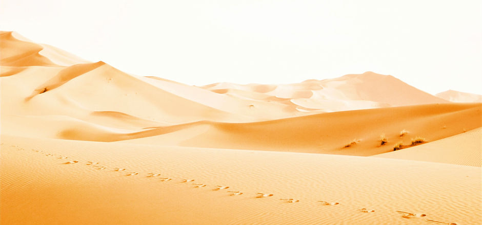 Desert Dunes_edited.jpg