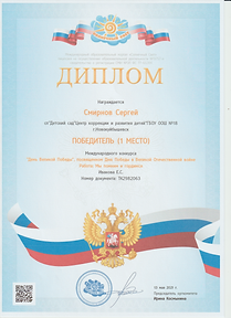 солнечный свет смирнов.png