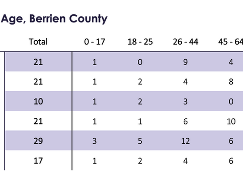 2024 Berrien County Deaths Report